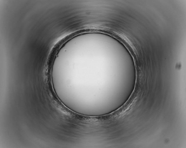 X0000099520971200805291207