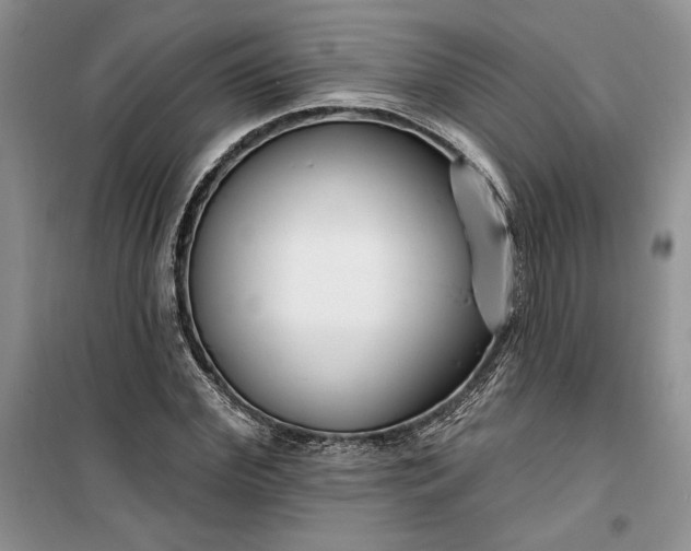 X0000099520972200805291207