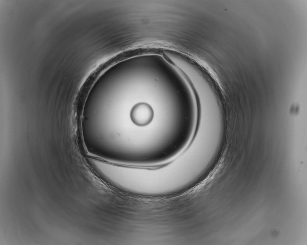 X0000099520973200805291207