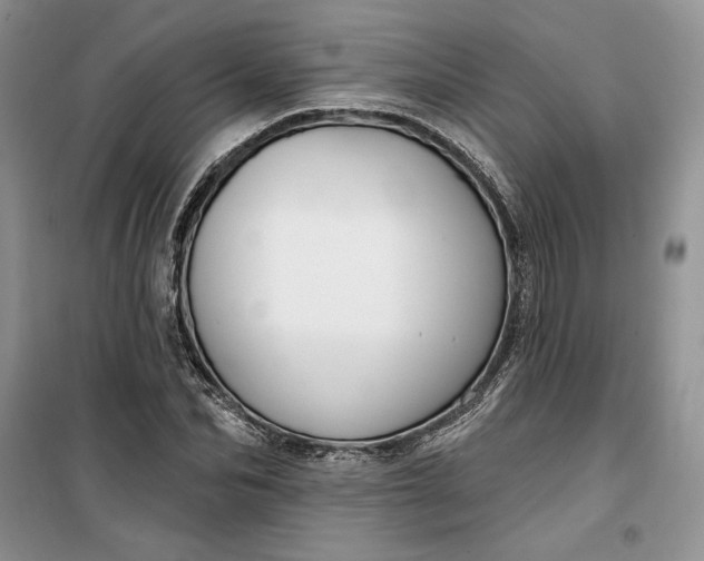 X0000099520974200805291207