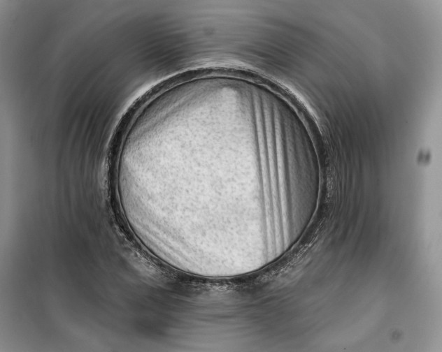 X0000099520975200805291207