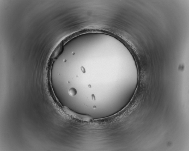 X0000099520976200805291207