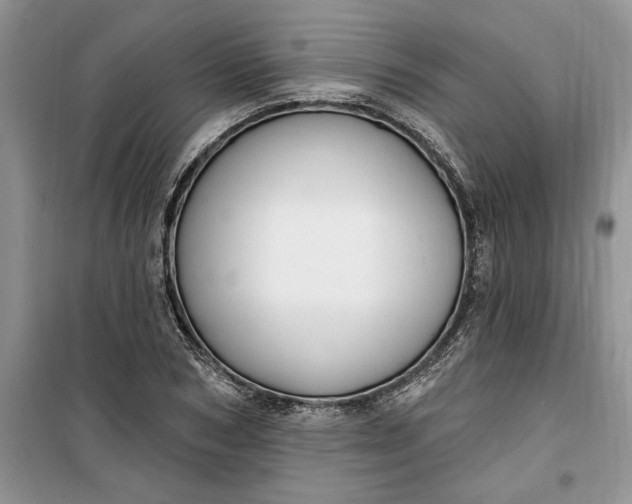 X0000099520978200805291207