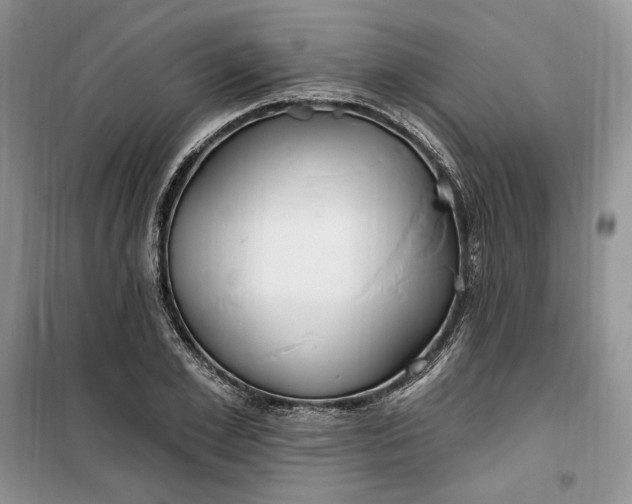 X0000099520981200805291207