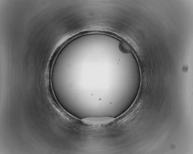 X0000099520982200805291207