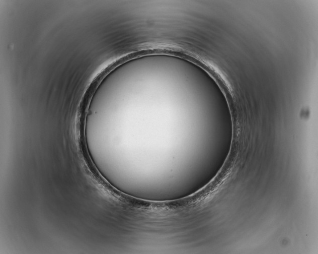 X0000099520983200805291207