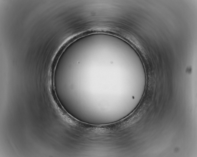 X0000099520984200805291207