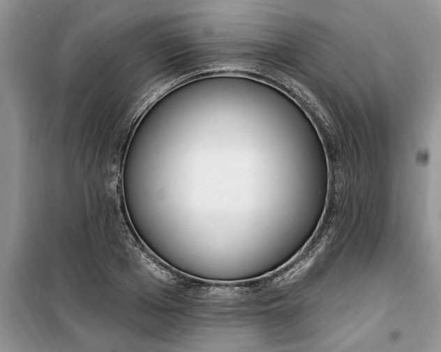 X0000099520985200805291207