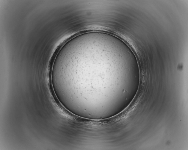 X0000099520987200805291207