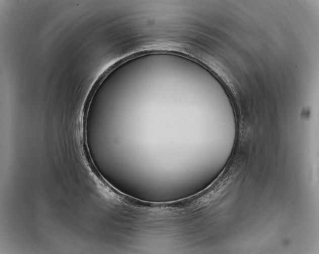 X0000099520988200805291207