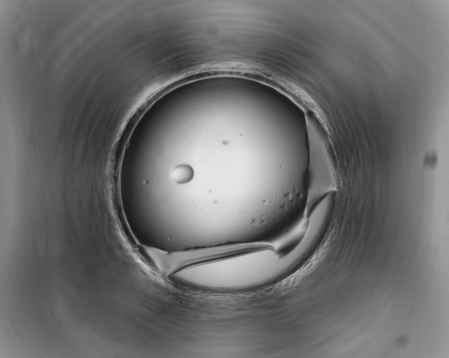 X0000099520989200805291207