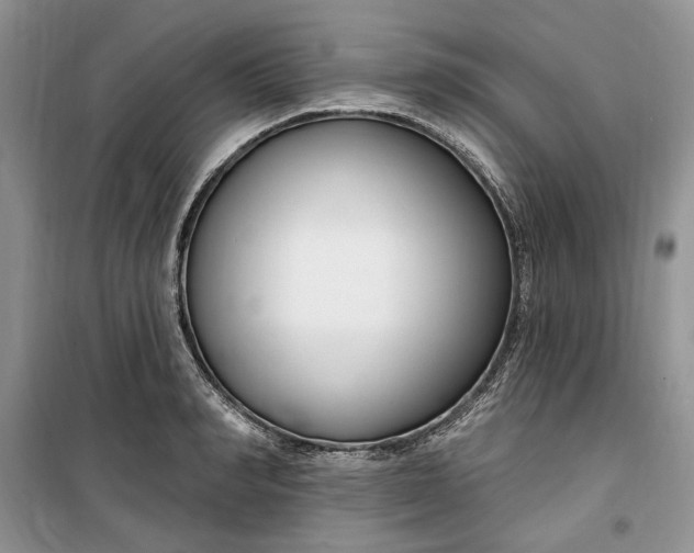 X0000099520990200805291207