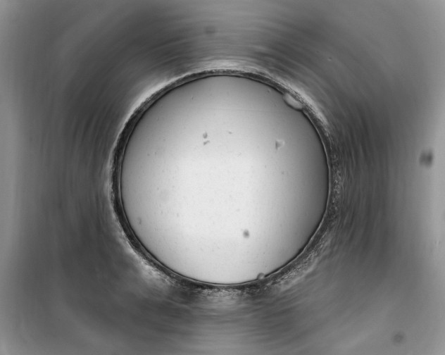 X0000099520991200805291207