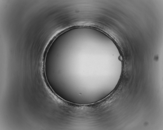 X0000099520992200805291207