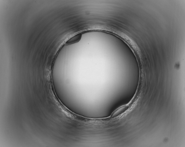 X0000099520993200805291207