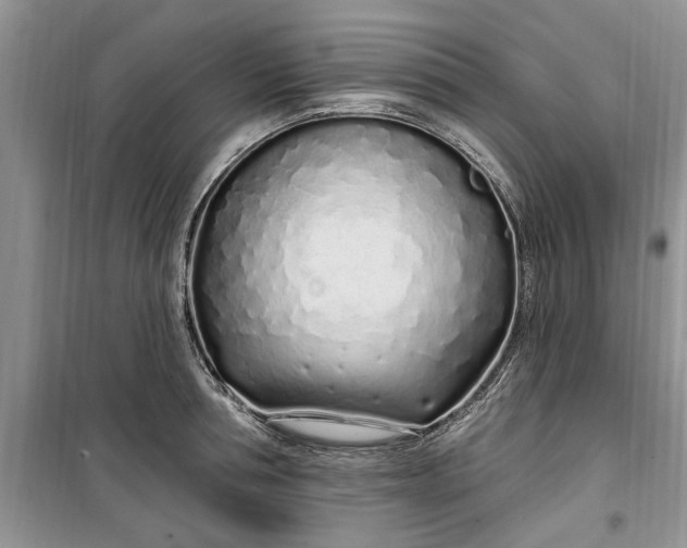 X0000099520994200805291207