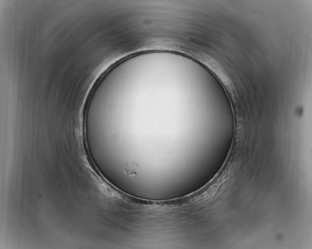 X0000099520996200805291207