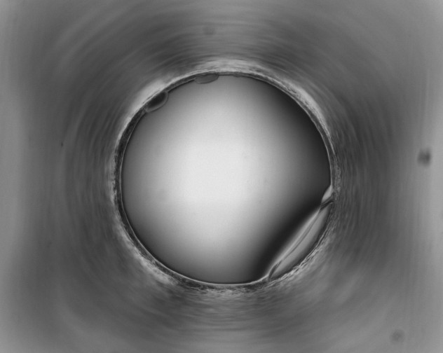 X0000099520997200805291207