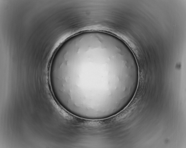 X0000099520998200805291207