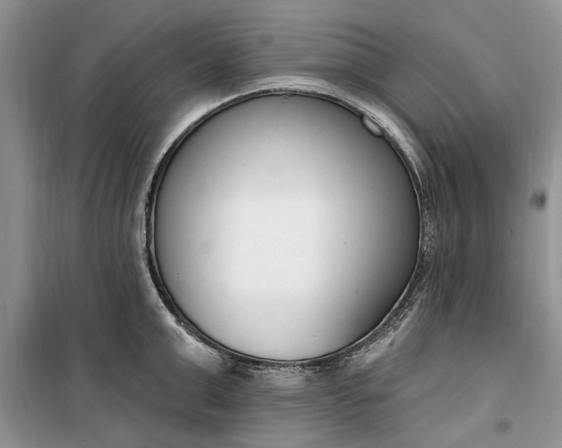 X0000099520999200805291207