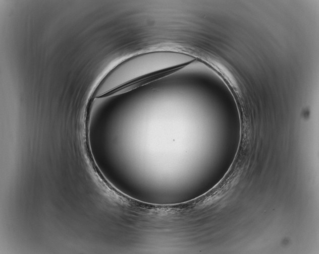 X0000099521000200805291207