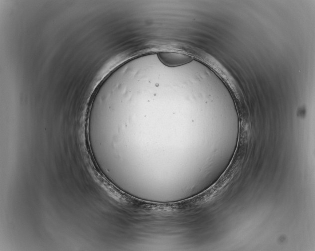 X0000099521002200805291207