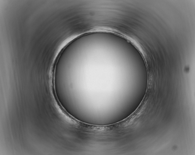 X0000099521003200805291207