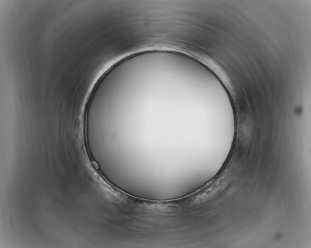 X0000099521004200805291207