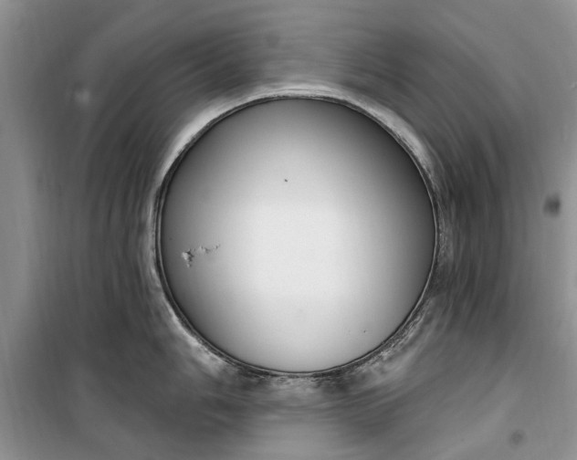 X0000099521006200805291207