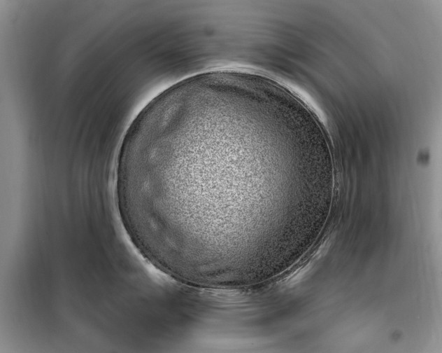 X0000099521007200805291207