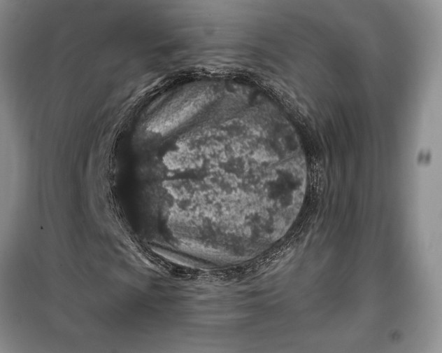 X0000099521009200805291206