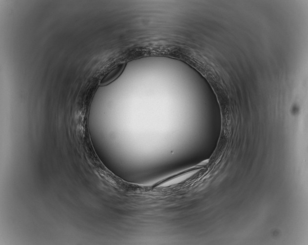 X0000099521010200805291206