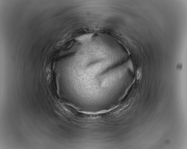 X0000099521011200805291206