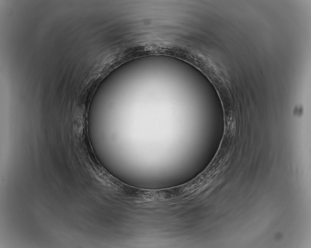 X0000099521012200805291206