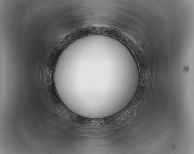 X0000099521013200805291206