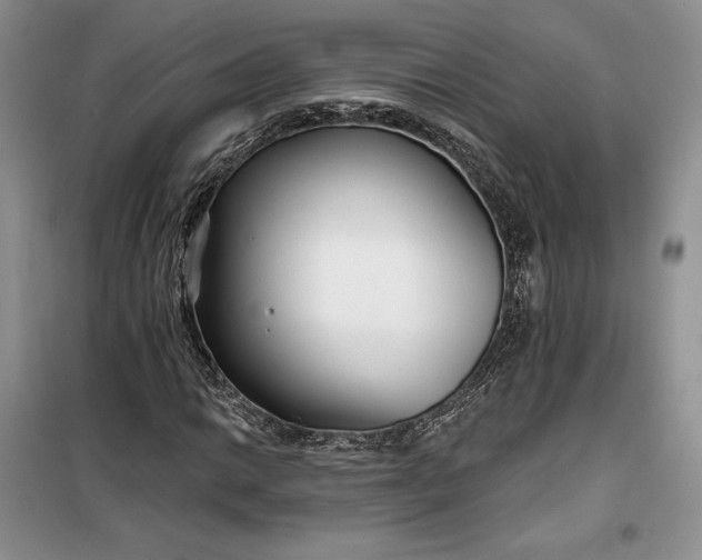 X0000099521014200805291206