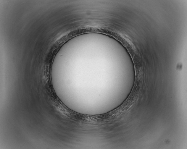 X0000099521015200805291206