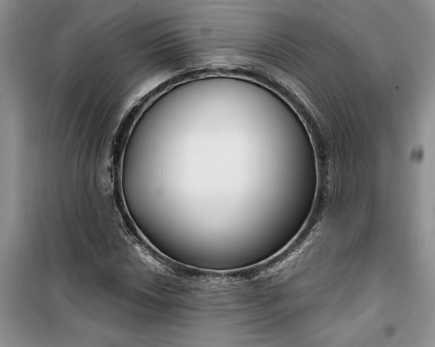 X0000099521018200805291206