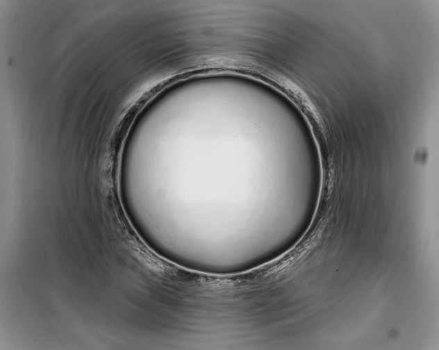 X0000099521019200805291206