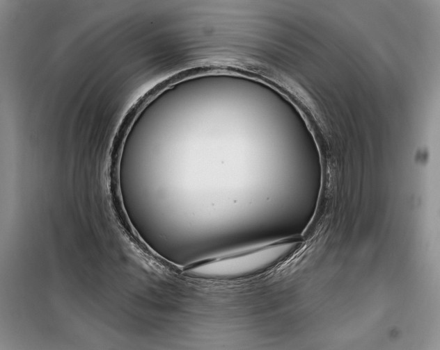 X0000099521020200805291206