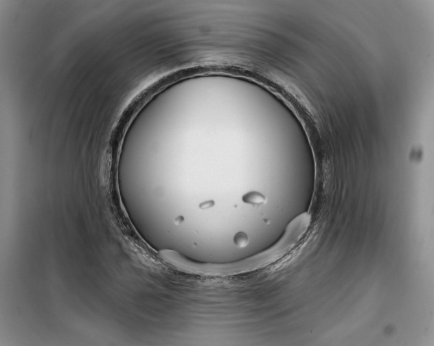 X0000099521021200805291207