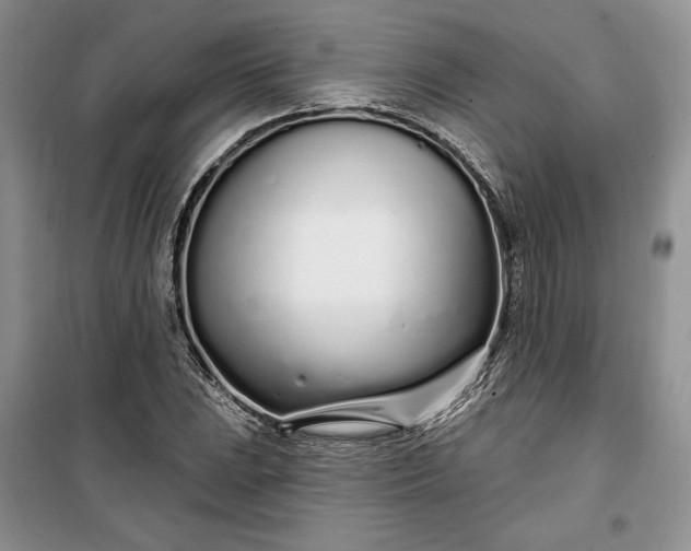 X0000099521023200805291207