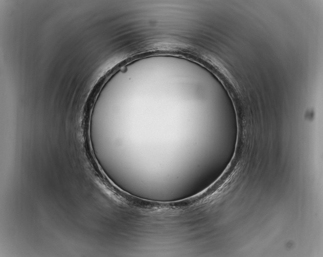 X0000099521026200805291207