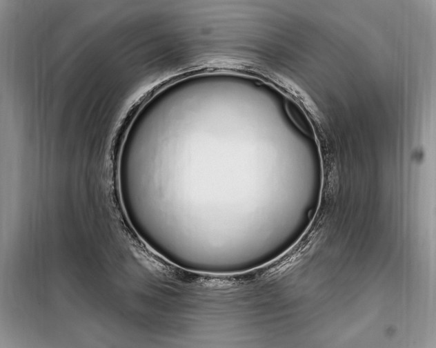 X0000099521027200805291207