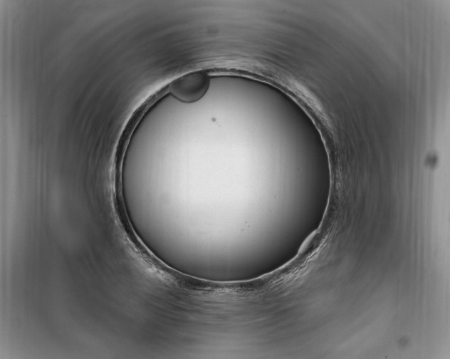 X0000099521028200805291207