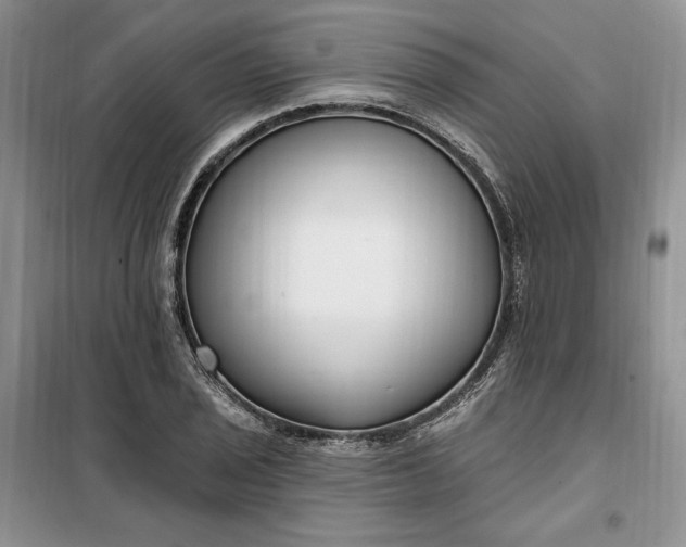 X0000099521029200805291207