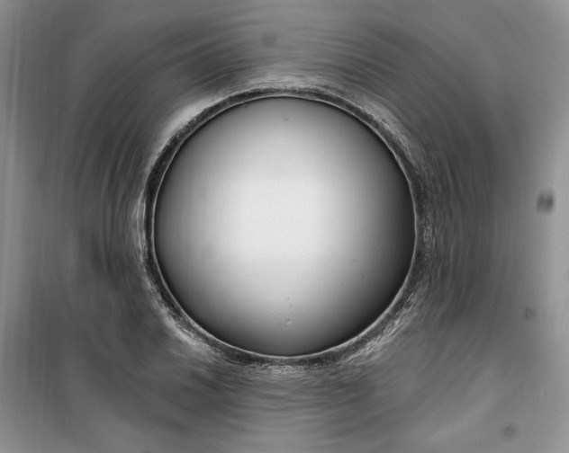 X0000099521030200805291207