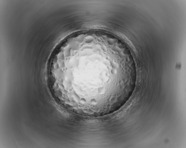 X0000099521031200805291207