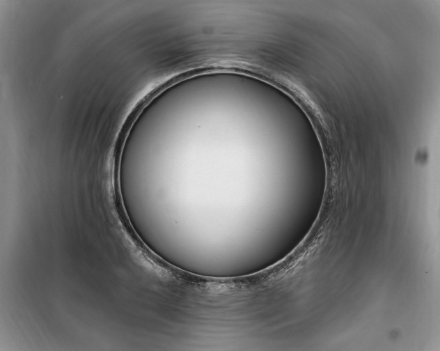 X0000099521032200805291207