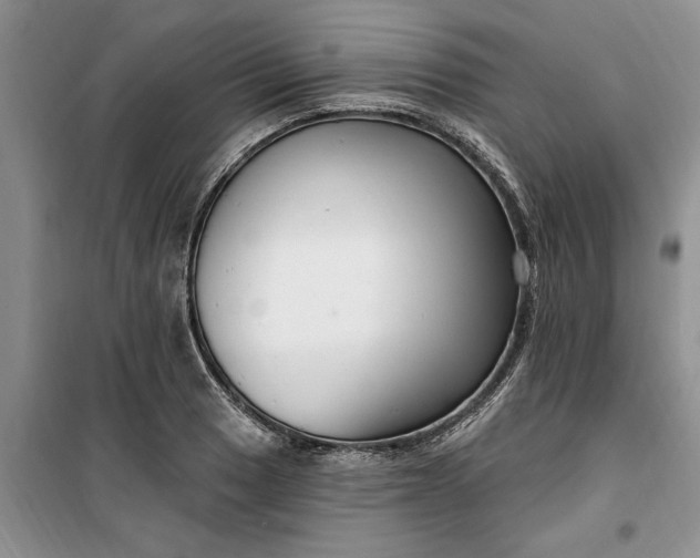 X0000099521033200805291207